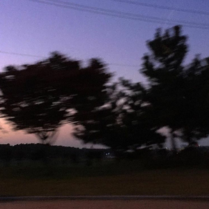 美国一级特黄AAA片做受
